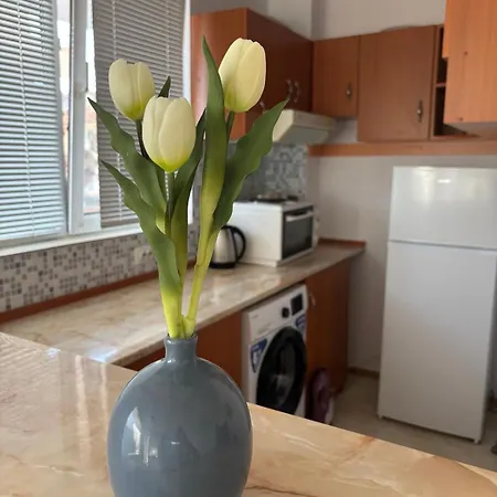Apartmán енигма *
